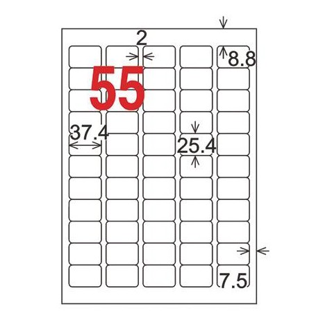 龍德 三用列印電腦標籤 LD-853-G-C 綠色 55格 20張