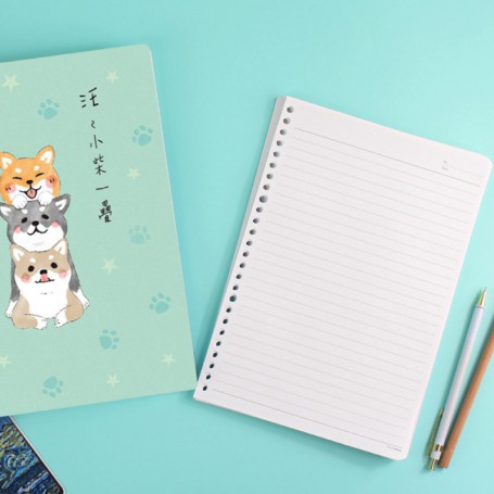 珠友 B5/18K 26孔特價PP空夾/26孔空夾/活頁筆記本空夾