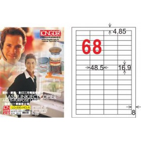 龍德 LD-890-HG-A A4三用電腦標籤 亮面防水相片噴墨材質 白色 16.9x48.5mm 68格 105 大張