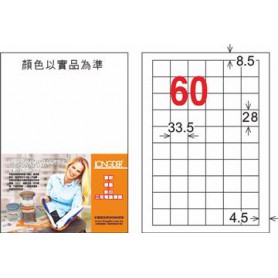 龍德 LD-894-HG-C A4三用電腦標籤 亮面防水相片噴墨材質 白色 28x33.5mm 60格 20 大張