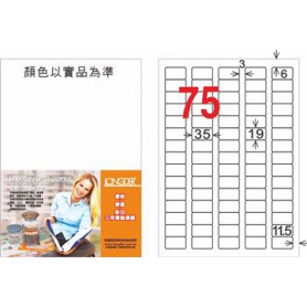龍德 LD-882-HG-C A4三用電腦標籤 亮面防水相片噴墨材質 白色 19x35mm 75格 20 大張