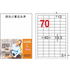 龍德 LD-878-HG-C A4三用電腦標籤 亮面防水相片噴墨材質 白色 19.5x40mm 70格 20 大張