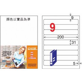 龍德 LD-854-HG-C A4三用電腦標籤 亮面防水相片噴墨材質 白色 31x200mm 9格 20 大張