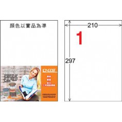 龍德 LD-800-HG-C A4三用電腦標籤 亮面防水相片噴墨材質 白色 297x210mm 1格 20 大張
