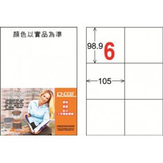 龍德 LD-808-HG-C A4三用電腦標籤 亮面防水相片噴墨材質 牛皮紙 98.9x105mm 6格 20 大張