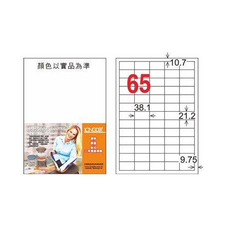 龍德 LD-806-T-C A4三用電腦標籤 透明PVC材質 透明 21.2x38.1mm 65格 20 大張