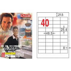 龍德 LD-8109-TL-A A4雷射影印電腦標籤 透明PET材質 透明 25.4x48.5mm 40格 80大張