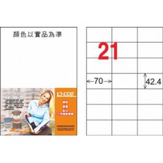 龍德 LD-836-TI-C A4噴墨影印電腦標籤 透明PET材質 透明 42.4x70mm 21格 5大張