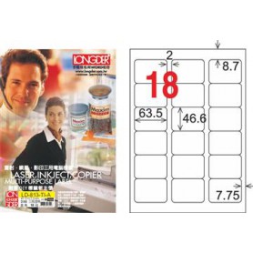 龍德 LD-813-TI-A A4噴墨影印電腦標籤 透明PET材質 透明 46.6x63.5mm 18格 80大張