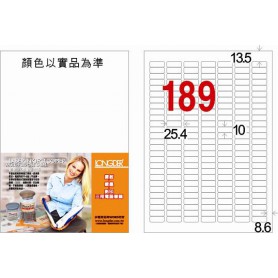 龍德 LD-8102-W-C A4三用電腦標籤 189格 白色 20大張