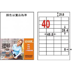 龍德 LD-8109-W-C A4三用電腦標籤 40格 白色 20大張