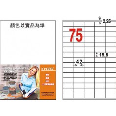 龍德 LD-8111-W-C A4三用電腦標籤 75格 白色 20大張