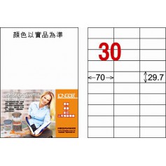 龍德 LD-834-W-C A4三用電腦標籤 30格 白色 20大張