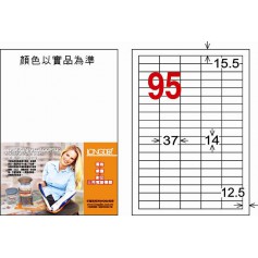 龍德 LD-873-W-C A4三用電腦標籤 95格 白色 20大張