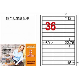 龍德 LD-874-W-C A4三用電腦標籤 36格 白色 20大張