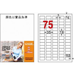 龍德 LD-882-W-C A4三用電腦標籤 75格 白色 20大張