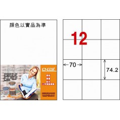 龍德 LD-897-W-C A4三用電腦標籤 12格 白色 20大張