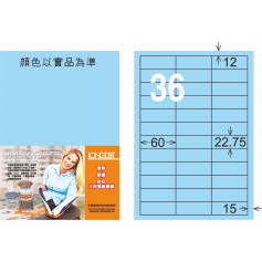 龍德 B系列 淺藍三用電腦標籤 中包105 大張