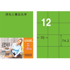 龍德 FG系列 螢光綠雷射影印標籤 中包105 大張