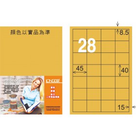 龍德 M系列 金色PET標籤 小包15大張