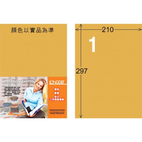 龍德 M系列 金色PET標籤 中包80大張