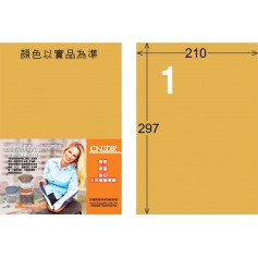龍德 M系列 金色PET標籤 中包80大張