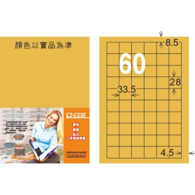 龍德 M系列 金色PET標籤 大包750大張