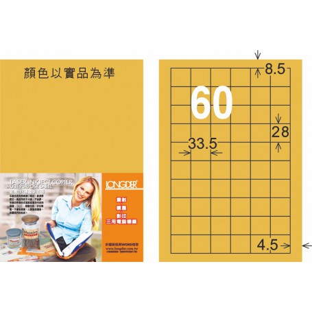 龍德 M系列 金色PET標籤 大包750大張