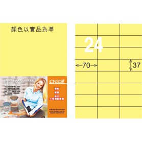 龍德 Y系列 淺黃三用電腦標籤 小包20 大張