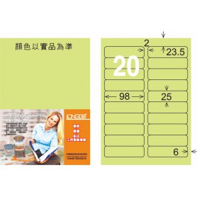 龍德 G系列 淺綠三用電腦標籤 小包20 大張