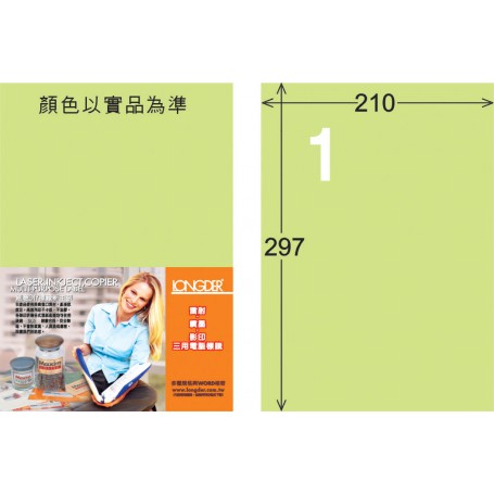 龍德 G系列 淺綠三用電腦標籤 小包20 大張