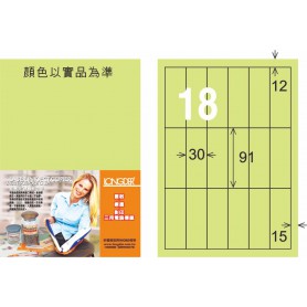龍德 G系列 淺綠三用電腦標籤 大包1000 大張
